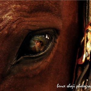 Meet your Posher, Jacquie